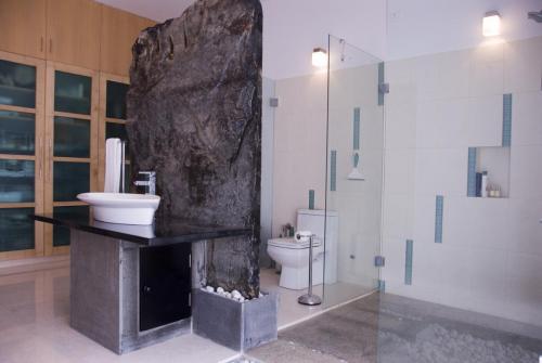 paravan cabina dus sticla securizata (10)