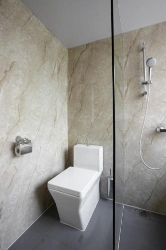 paravan cabina dus sticla securizata (43)